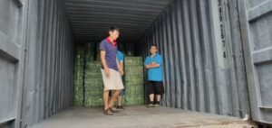 53487c89fe3ad894cfa6401df2fe9e9b