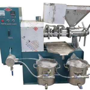 6YL-70 Mobile Commercial Oil Press with Double Vacuum Filters for Peanut and Sesame - RayPro Sourcing